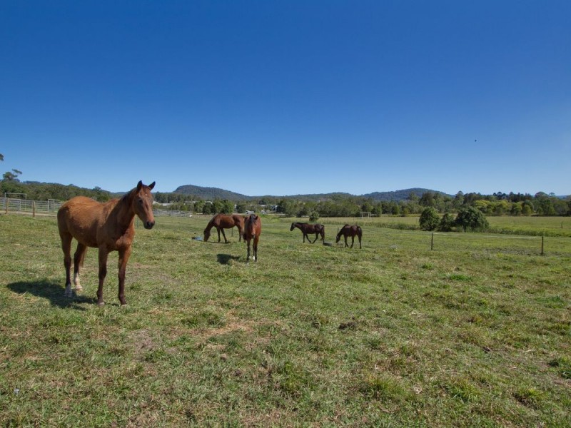 72 Sheahans Street, Yandina QLD 4561