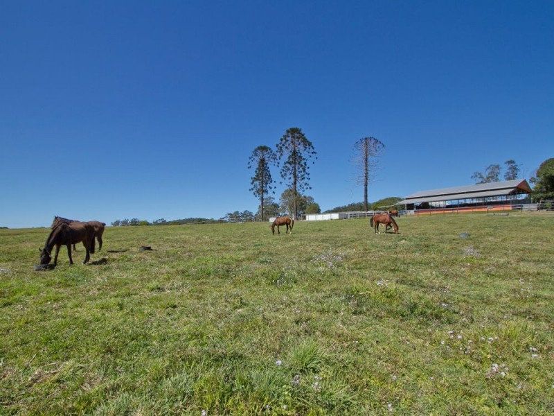 72 Sheahans Street, Yandina QLD 4561