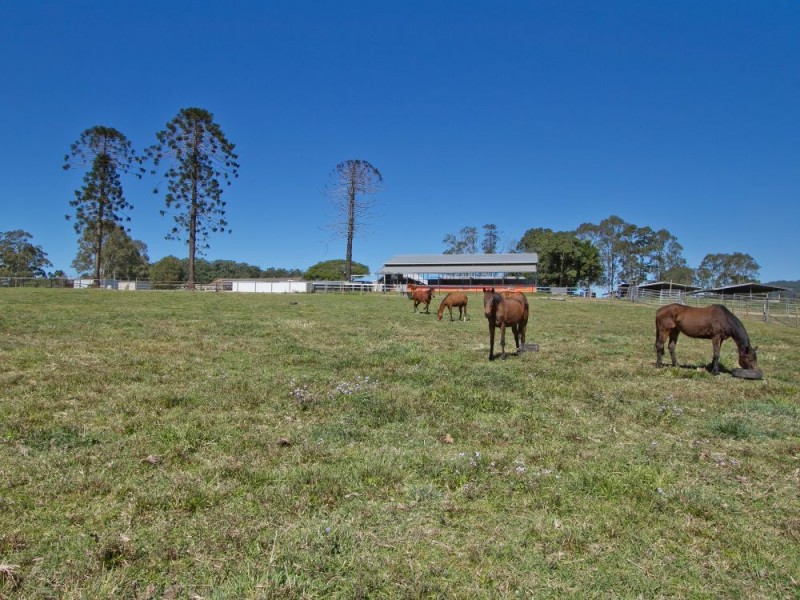 72 Sheahans Street, Yandina QLD 4561