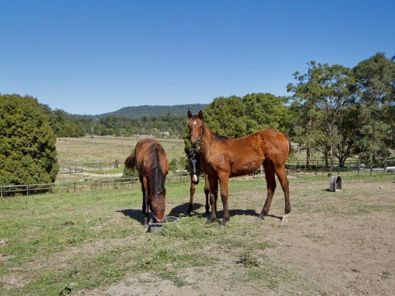 72 Sheahans Street, Yandina QLD 4561