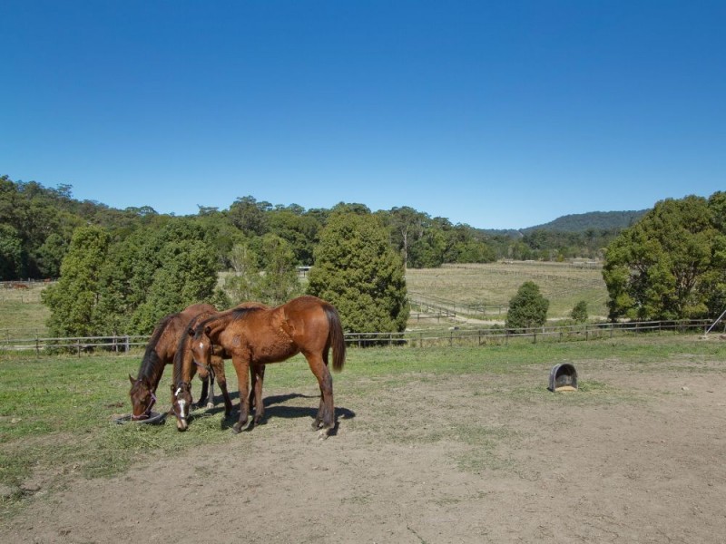 72 Sheahans Street, Yandina QLD 4561