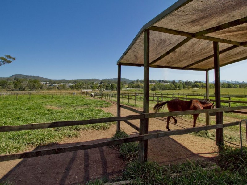 72 Sheahans Street, Yandina QLD 4561