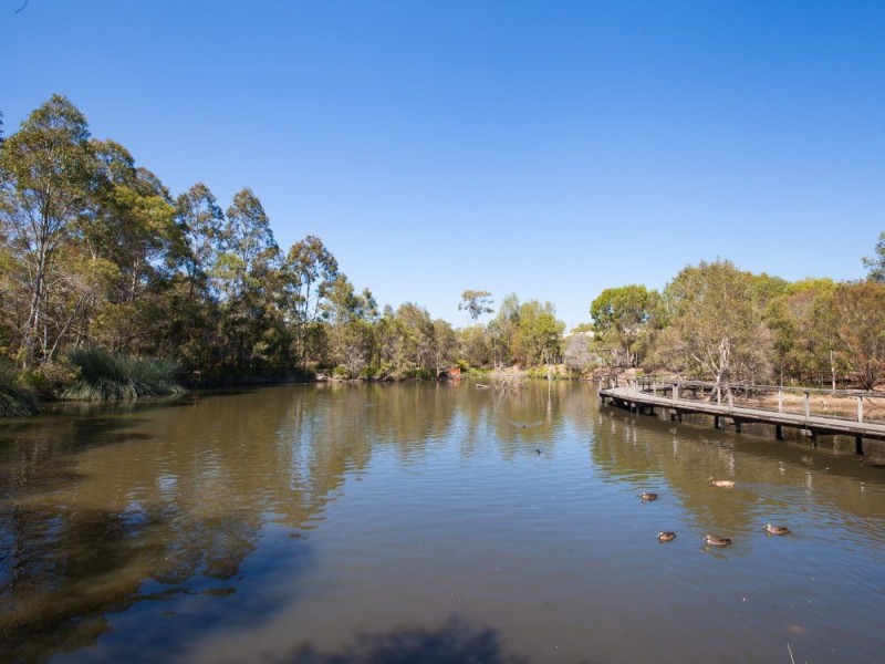 74 Leicester Street, Coorparoo QLD 4151