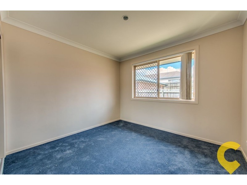 19 Collins Street, Collingwood Park QLD 4301