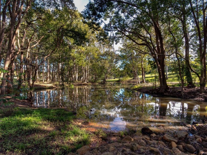 75 Bridgeman Road, Bridgeman Downs QLD 4035