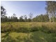 1 Emu Road, Elimbah QLD 4516