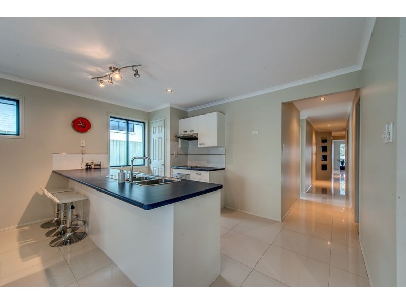 29 Speckled Circuit, Springfield Lakes QLD 4300