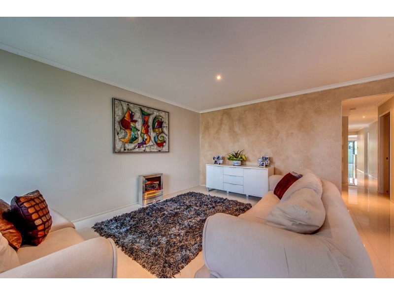 29 Speckled Circuit, Springfield Lakes QLD 4300