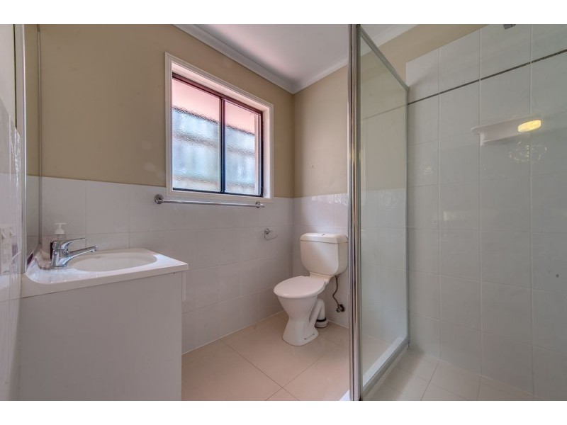 29 Speckled Circuit, Springfield Lakes QLD 4300