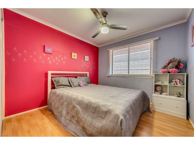 29 Speckled Circuit, Springfield Lakes QLD 4300