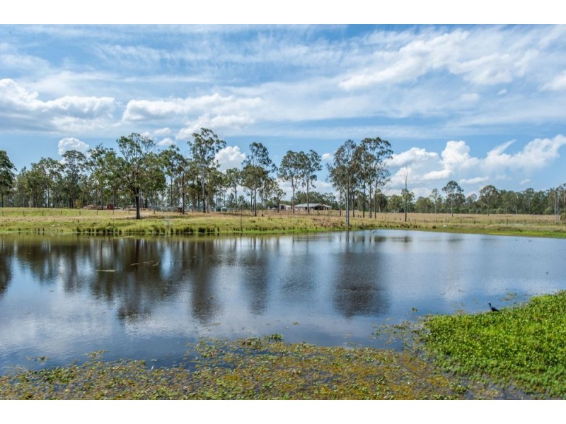 71-103 Dairy Creek Rd, Buccan QLD 4207