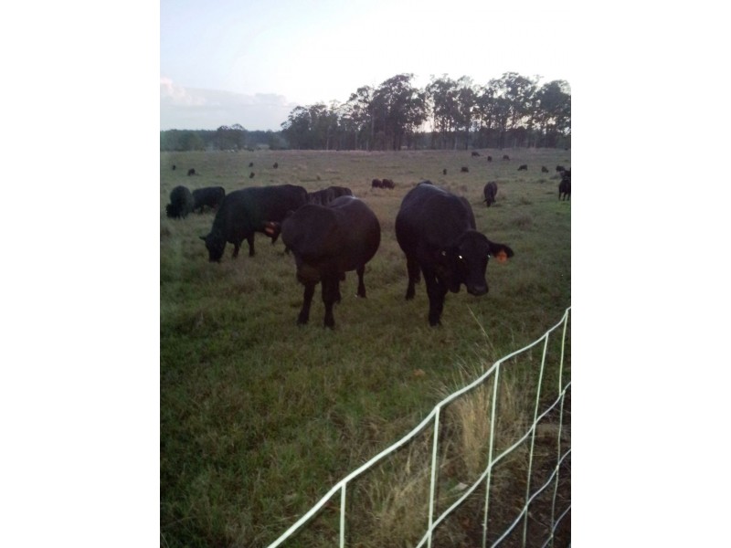 90 Pioneer Drive, Narangba QLD 4504