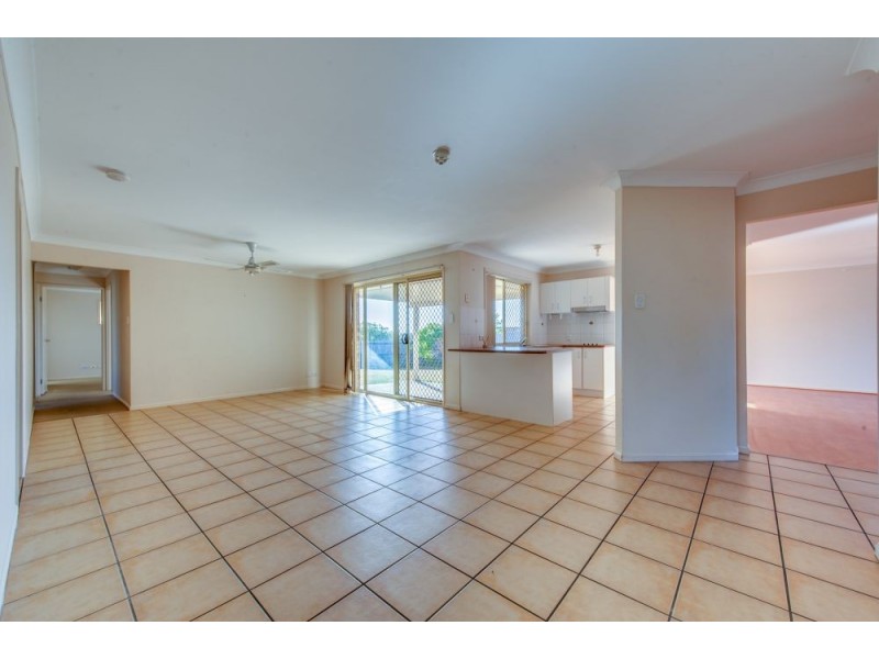 31 Vanessa Crt, Camira QLD 4300