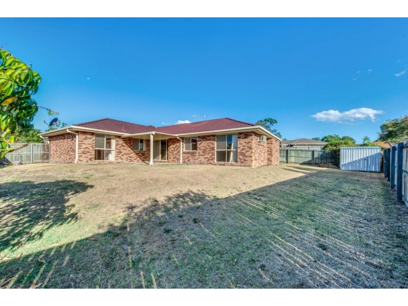 31 Vanessa Crt, Camira QLD 4300