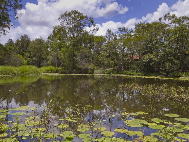 3 Murphy Street West, Kallangur QLD 4503