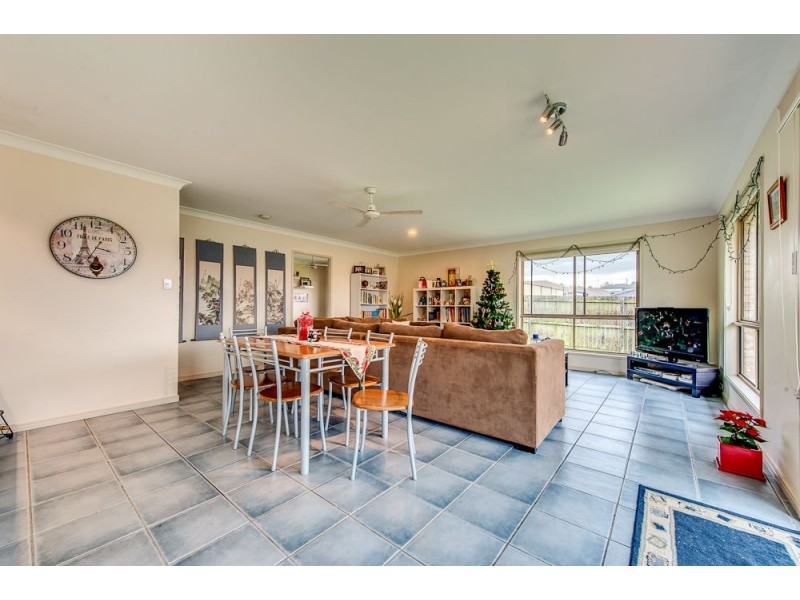 4 Schafferius Court, Collingwood Park QLD 4301