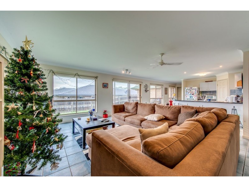 4 Schafferius Court, Collingwood Park QLD 4301