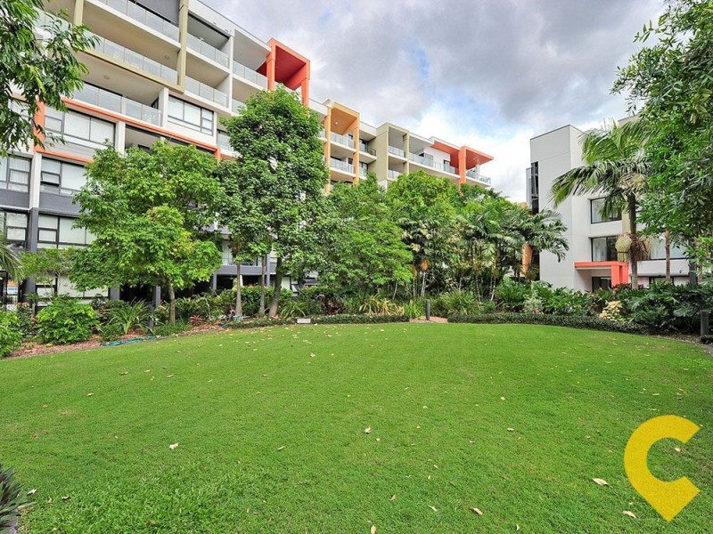 210/10 Pidgeon Close, West End QLD 4101