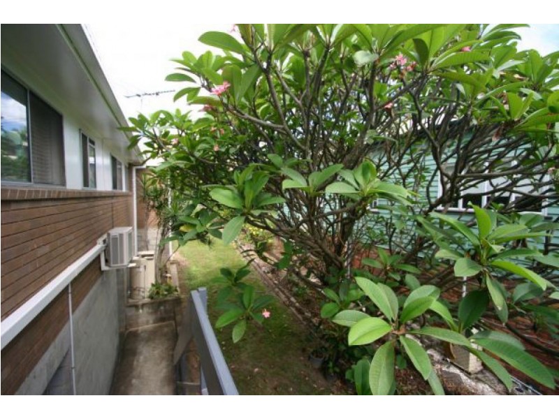 3/67 Adamson St, Wooloowin QLD 4030