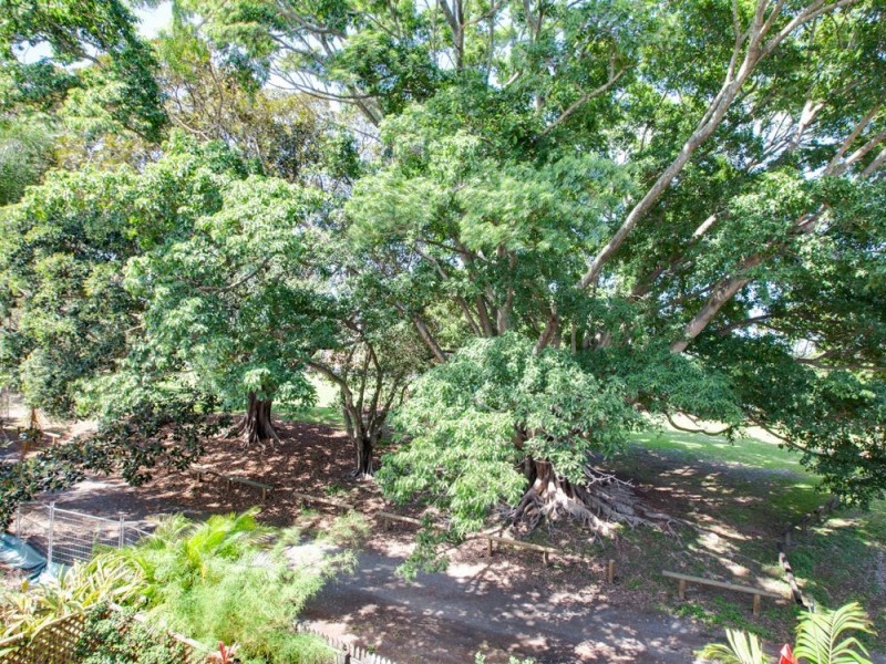 3/20 Mcgregor Avenue, Lutwyche QLD 4030