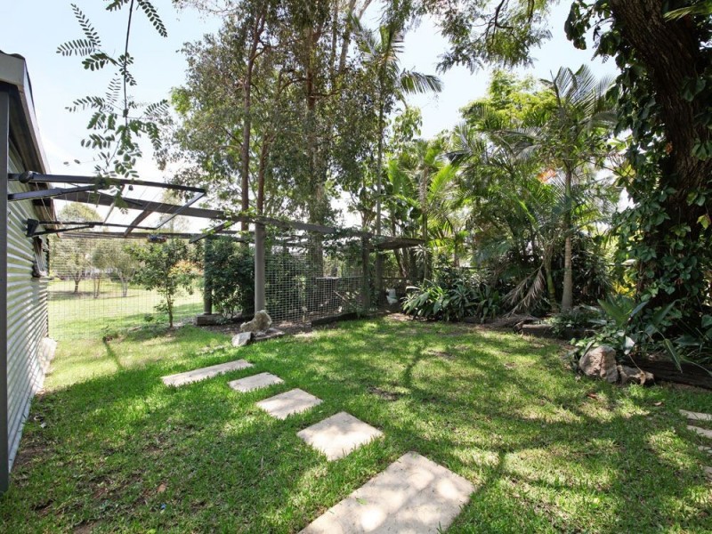 25 Ibis Avenue, Deagon QLD 4017