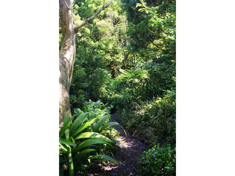 58 Maple Street, Maleny QLD 4552