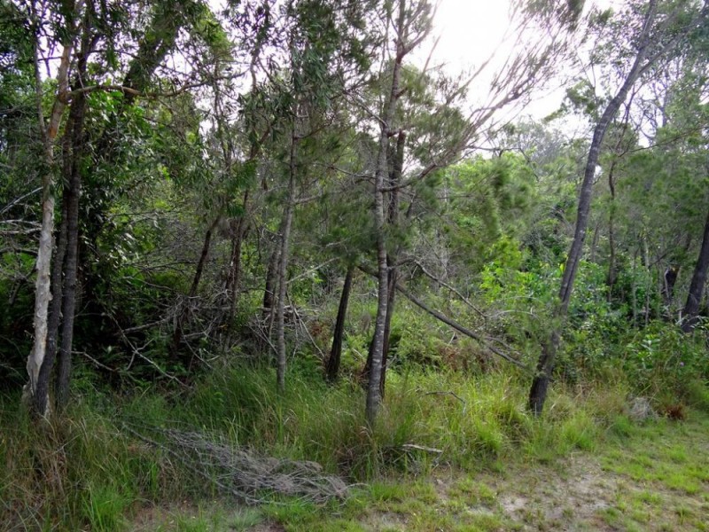 32 Guyana Court, Capalaba QLD 4157