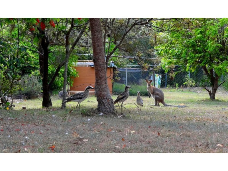 32 Guyana Court, Capalaba QLD 4157