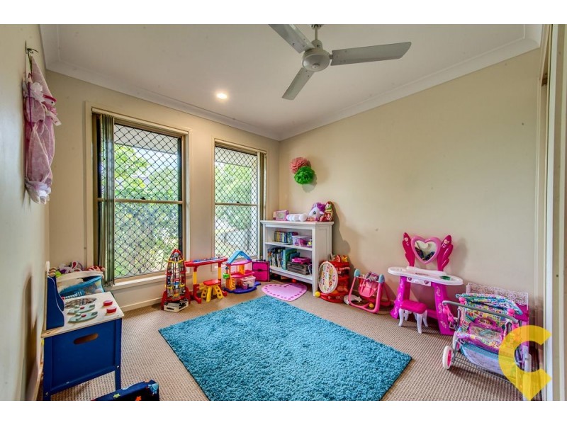 4 Everest Court, Springfield Lakes QLD 4300