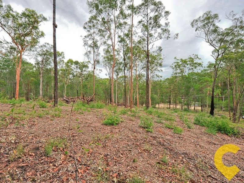 151-165 Randle Road, Buccan QLD 4207