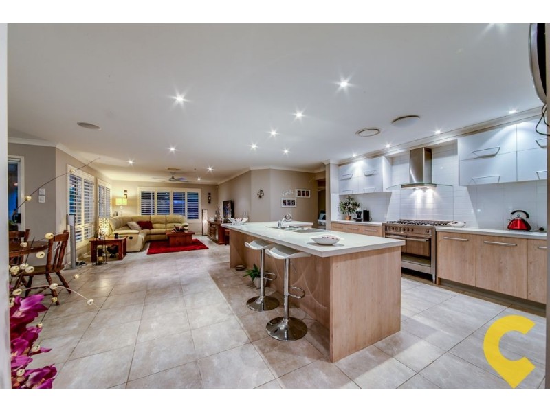 17 Ash Avenue, Springfield Lakes QLD 4300