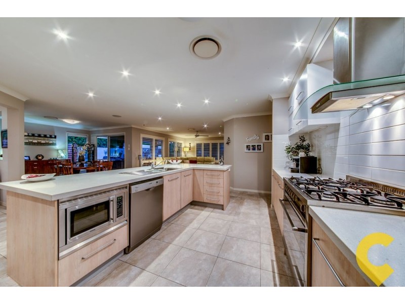 17 Ash Avenue, Springfield Lakes QLD 4300