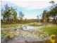 3 Westcott Way, Coomera QLD 4209