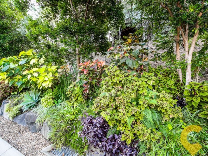 1056/6 Crestridge Court, Oxenford QLD 4210