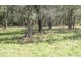 45 Ogilvy Road, Burpengary QLD 4505