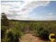 21 Forest Road, Cashmere QLD 4500