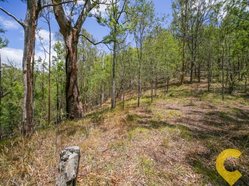 184 Lynwood Road, Guanaba QLD 4210