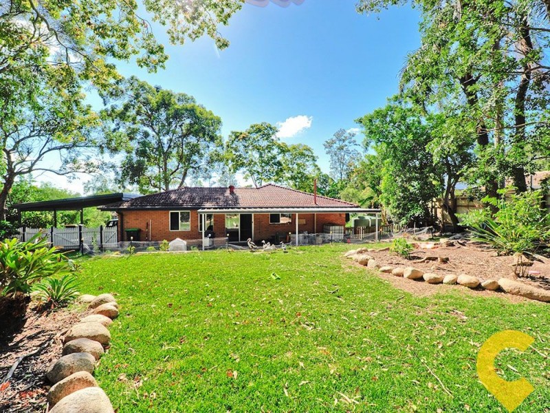 3 Pinkwood Street, Bellbowrie QLD 4070