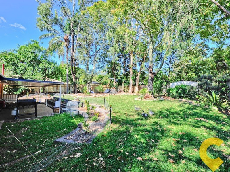 3 Pinkwood Street, Bellbowrie QLD 4070