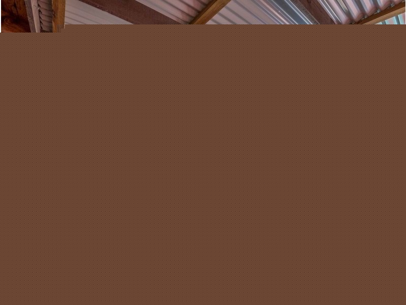 19 Peatmoss St, Sunnybank Hills QLD 4109