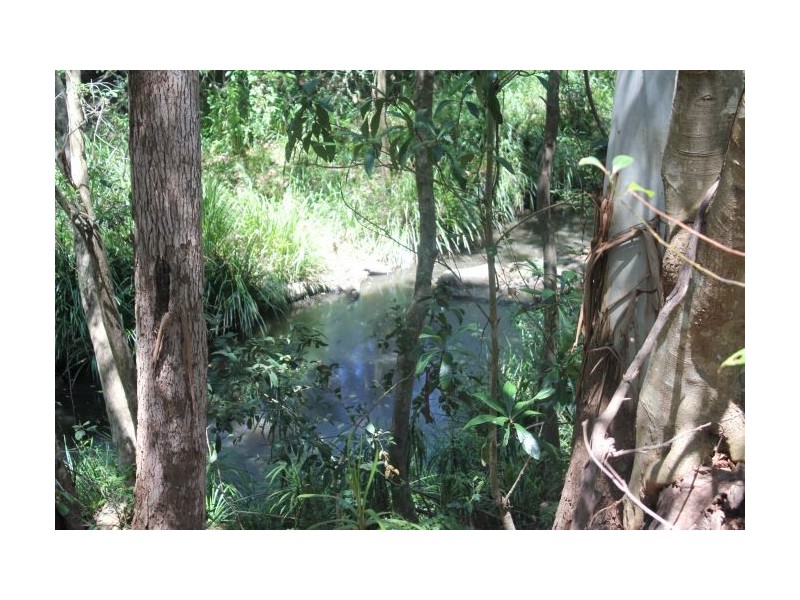 14 Carabeen Close, Woolgoolga NSW 2456