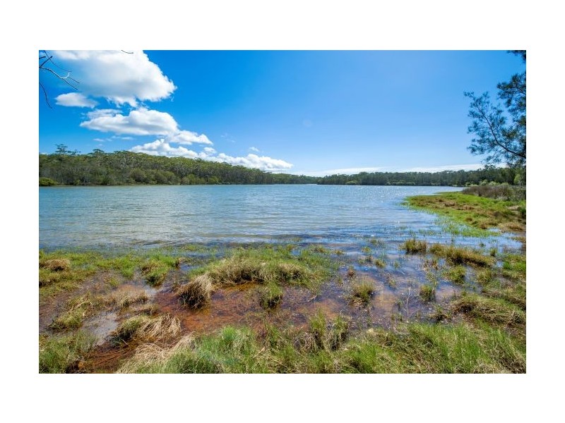 19 Melaleuca Avenue, Woolgoolga NSW 2456