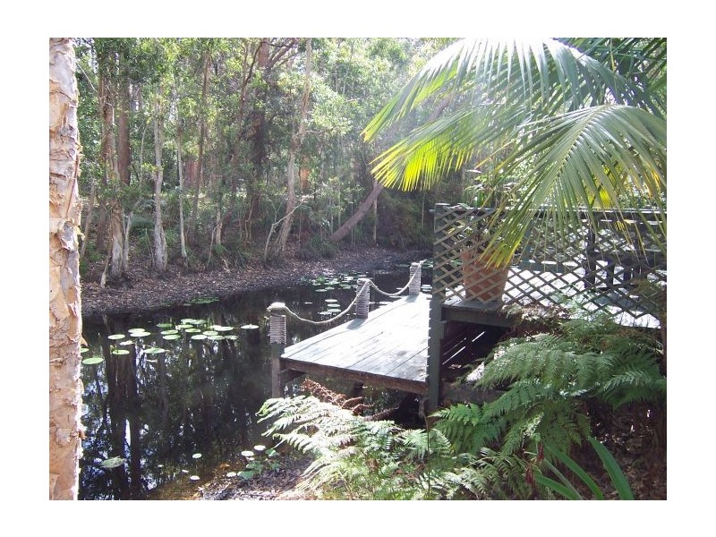 74 Eggins Drive, Arrawarra NSW 2456