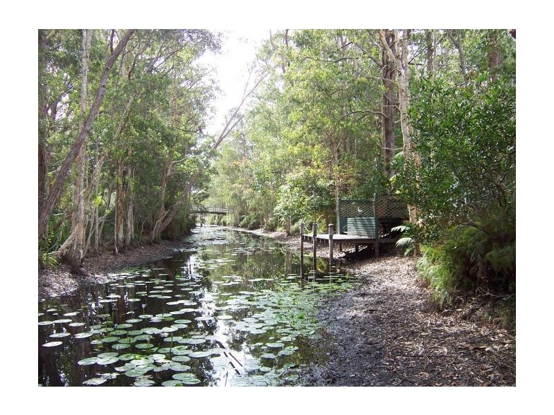 74 Eggins Drive, Arrawarra NSW 2456