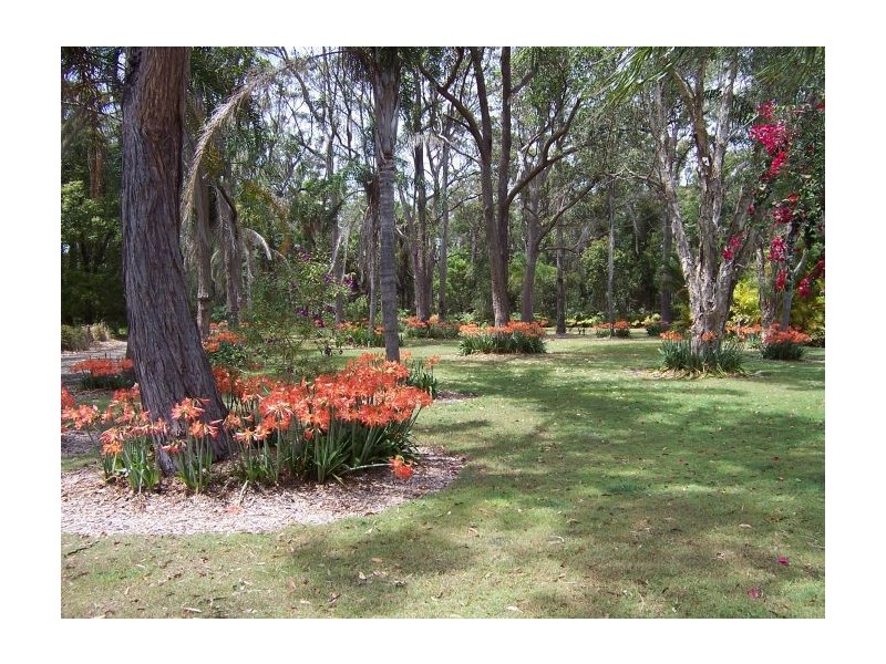 74 Eggins Drive, Arrawarra NSW 2456