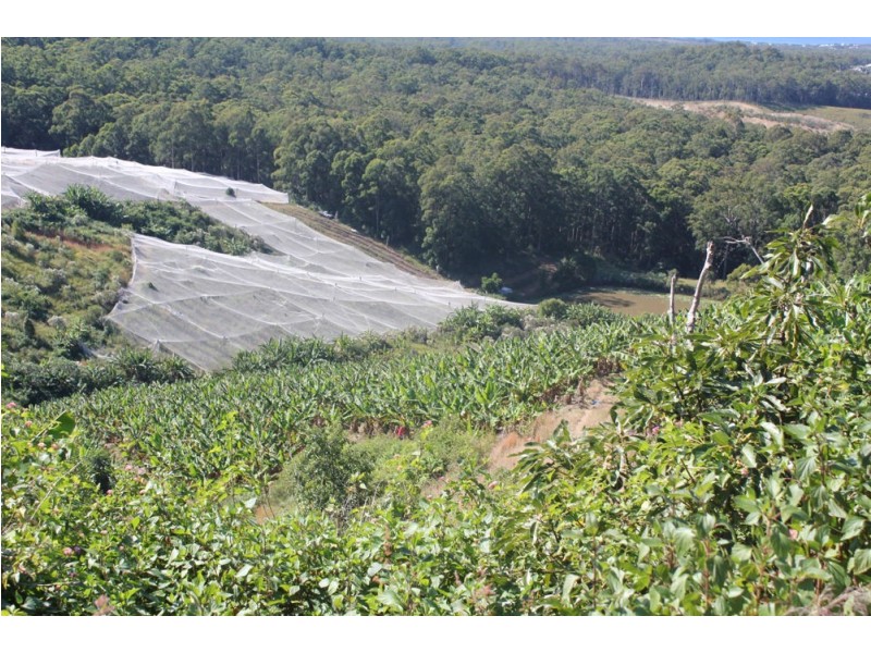 lot 282 Bark Hut Road, Woolgoolga NSW 2456