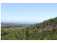 lot 282 Bark Hut Road, Woolgoolga NSW 2456