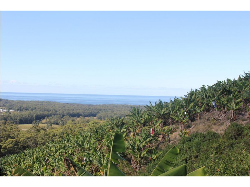 lot 282 Bark Hut Road, Woolgoolga NSW 2456