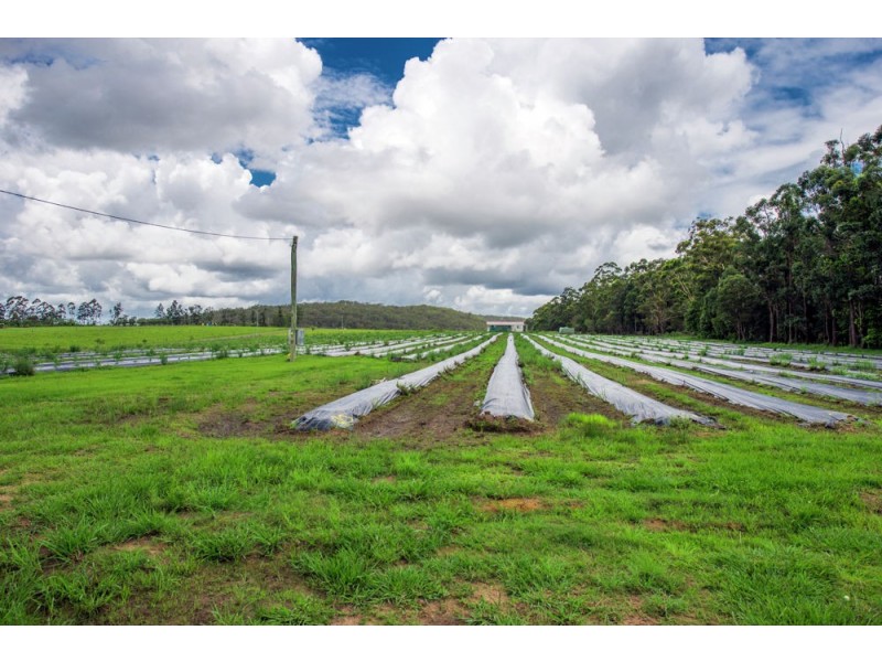 684 & 720 Parker Road, Lanitza NSW 2460