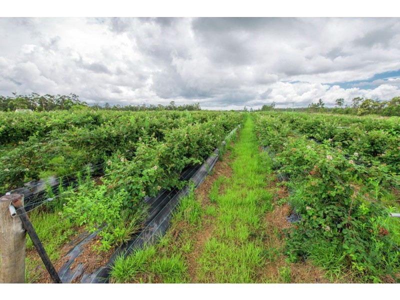 684 & 720 Parker Road, Lanitza NSW 2460